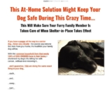 Save Your Dog